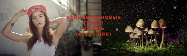 apvp Навашино