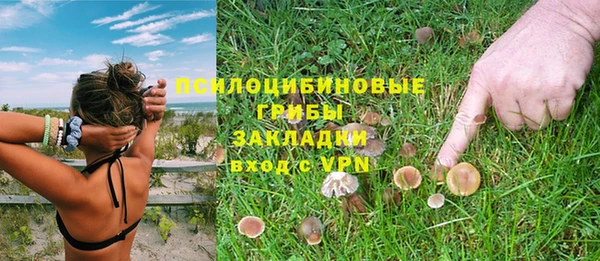 СК Надым