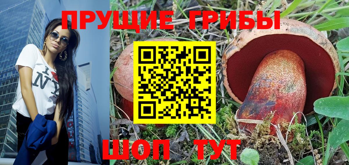 Тосно  Галлюциногенные грибы ЛСД  Вход с VPN  Галлюциногенные грибы Cubensis 