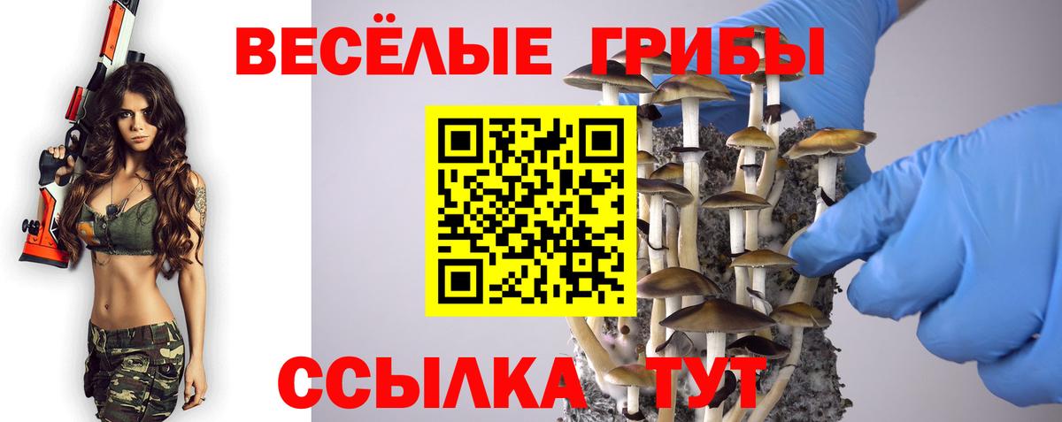 Псилоцибиновые грибы Psilocybine cubensis Тосно