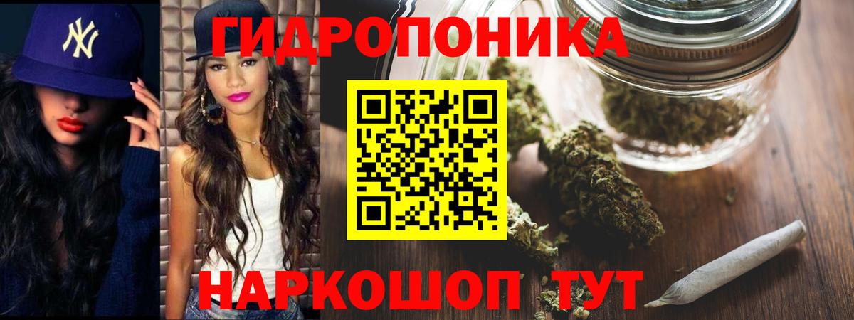 Бошки Шишки семена Тосно